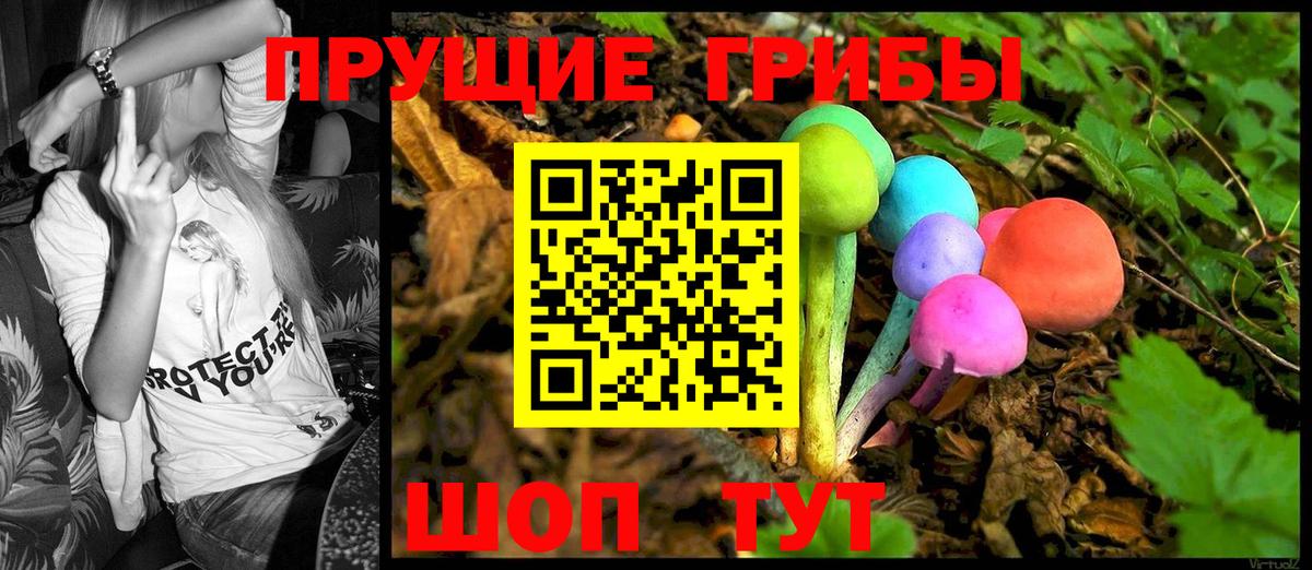 Псилоцибиновые грибы Magic Shrooms  Галлюциногенные грибы Cubensis  Вход с VPN  Канаш 