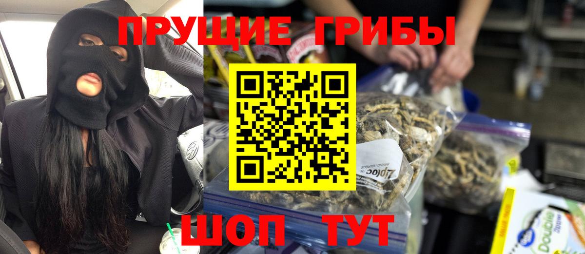 Галлюциногенные грибы прущие грибы Канаш