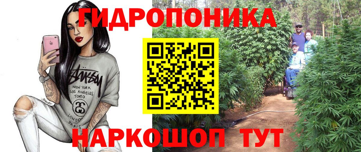 Бошки Шишки индика  Бошки марихуана план  Вход с VPN  Канабис White Widow  Канаш 